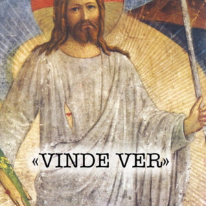 Vinde Ver